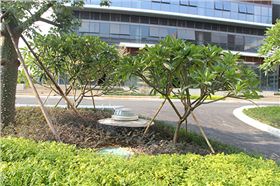 草坪上的半球形采光罩 草坪上的半球形采光罩