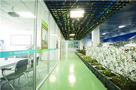 光導筒照明 光導筒照明