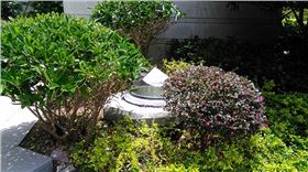 珠海東方墅光導(dǎo)照明應(yīng)用 珠海東方墅光導(dǎo)照明應(yīng)用