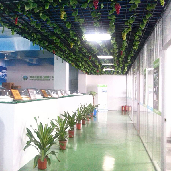 原來(lái)這就是光導(dǎo)照明系統(tǒng)啊