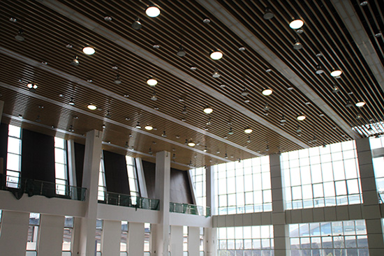 “滿天星”的光導照明系統 “滿天星”的光導照明