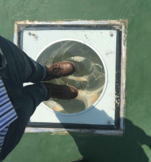 平板采光器承重測(cè)試 平板采光器承重測(cè)試