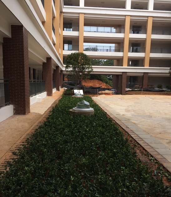 紅橋中學光導 紅橋中學光導