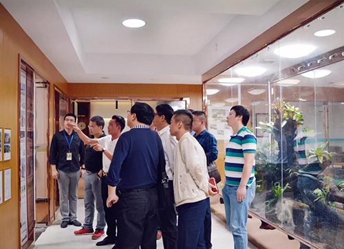 正能量科技 正能量科技