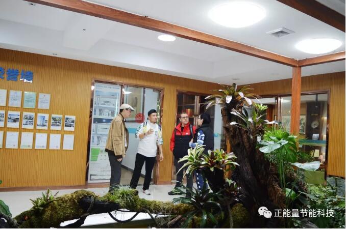 正能量光導照明 正能量光導照明